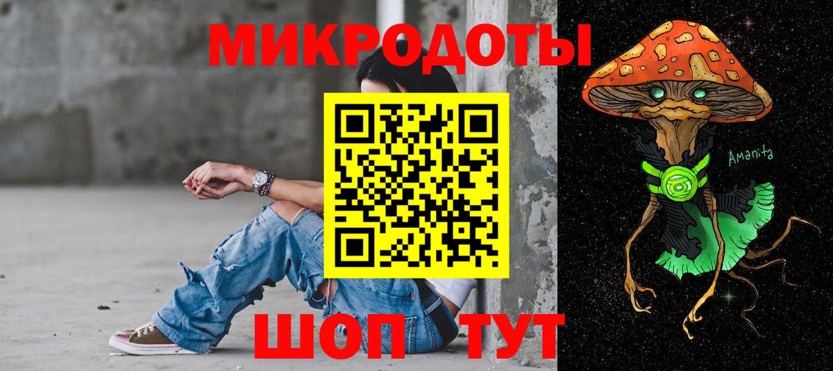 Галлюциногенные грибы Cubensis  Вход с VPN  Александров 