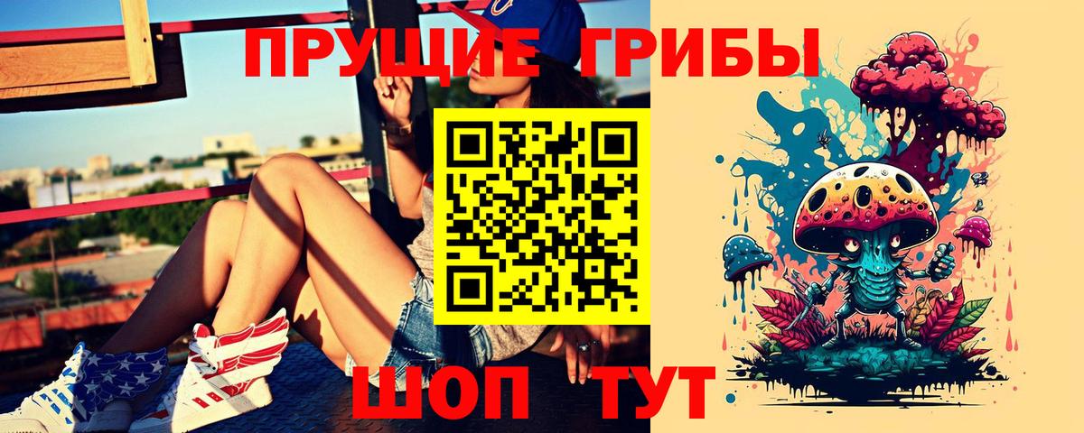 Галлюциногенные грибы Cubensis Александров